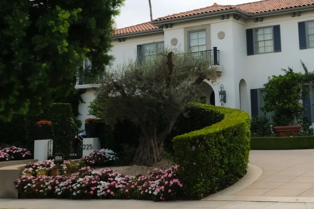 Stucco home and mature landscaping